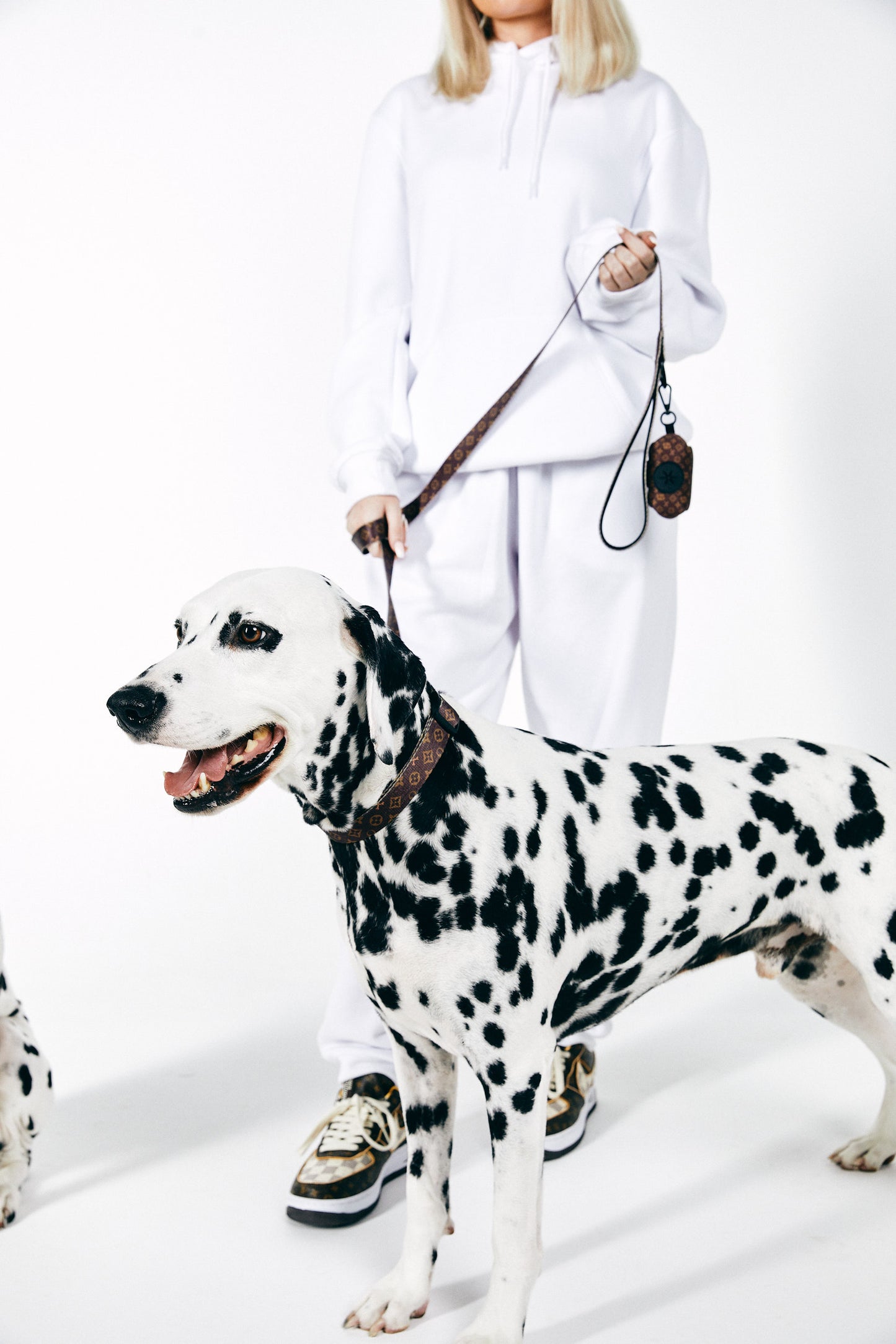 The Kim Kar-Dachshund HARNESS - SIZZZLE Dog Accessories – Sizzzle