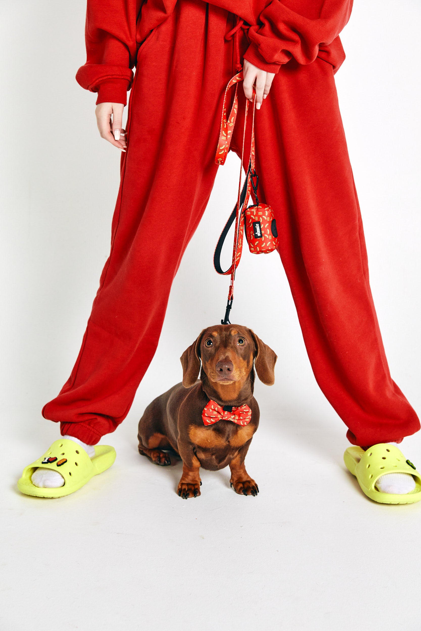 harness, collar, leash, poo bag, mick snagger, australian, red, black, sizzzle dog accessories, adjustable, affordable, custom prints, pet supplies, designer