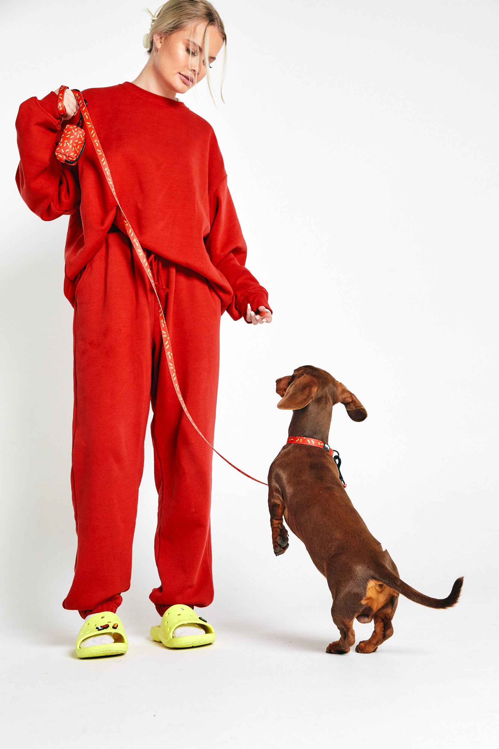 harness, collar, leash, poo bag, mick snagger, australian, red, black, sizzzle dog accessories, adjustable, affordable, custom prints, pet supplies, designer