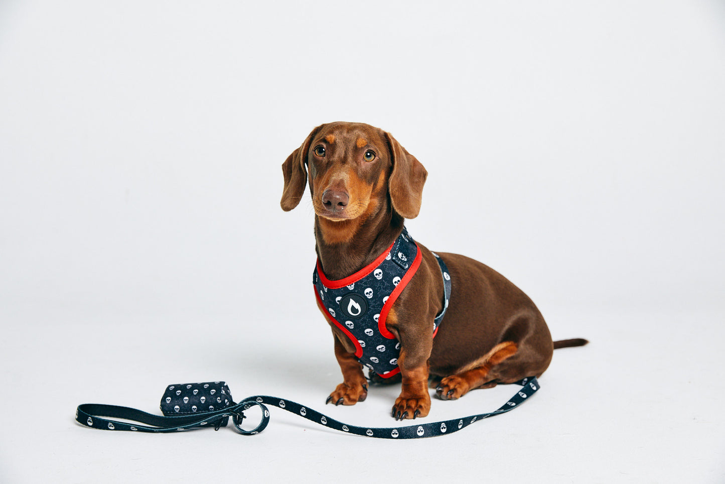 dog leash, puppy leash, notorious dog, australian, skulls, red, black, sizzzle dog accessories, adjustable, affordable, custom prints, pet supplies, designer
