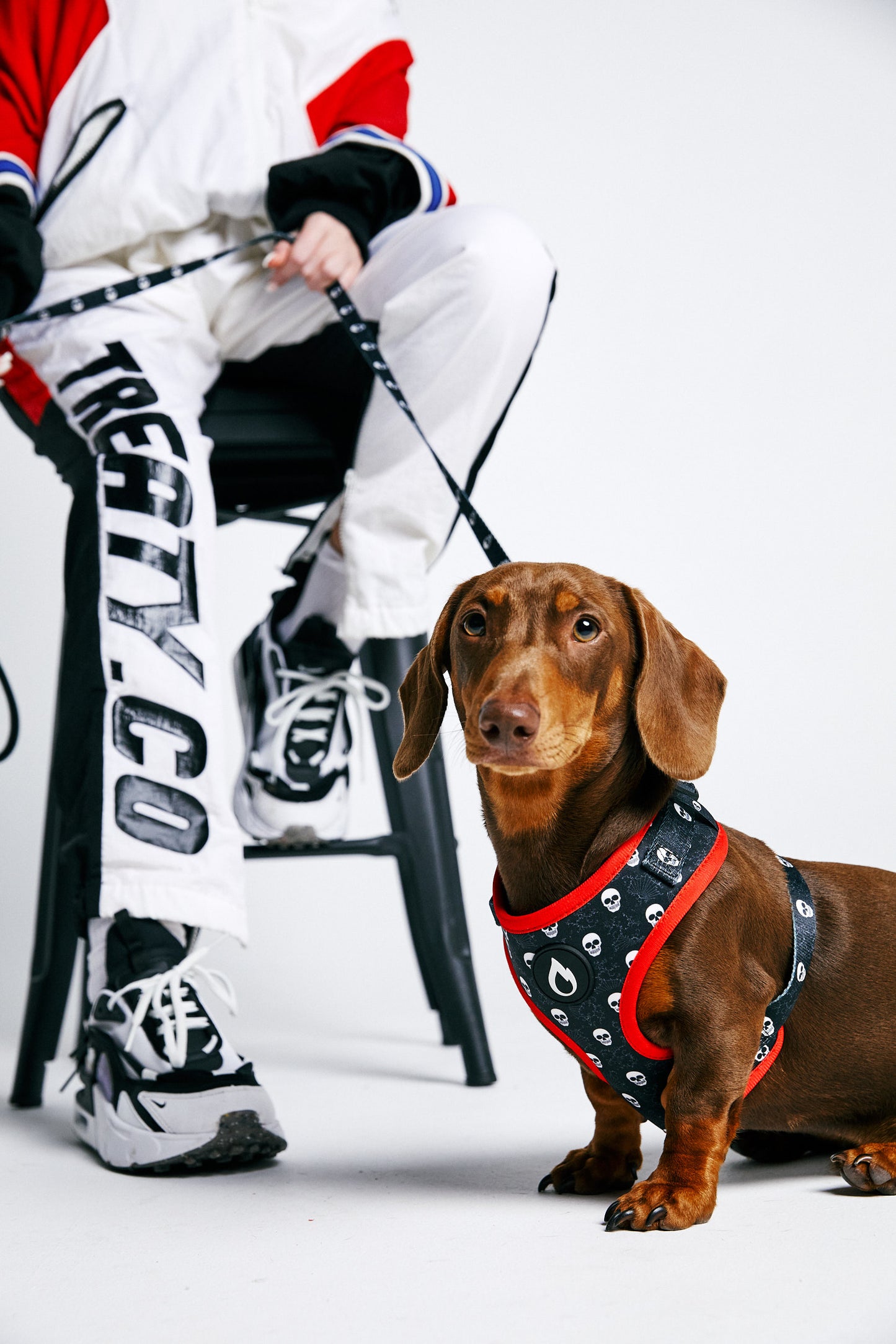 dog harness, dog collar, dog leash, dog poo bag, notorious dog, australian, red, skulls, white, black, sizzzle dog accessories, adjustable, affordable, custom prints, pet supplies, designer