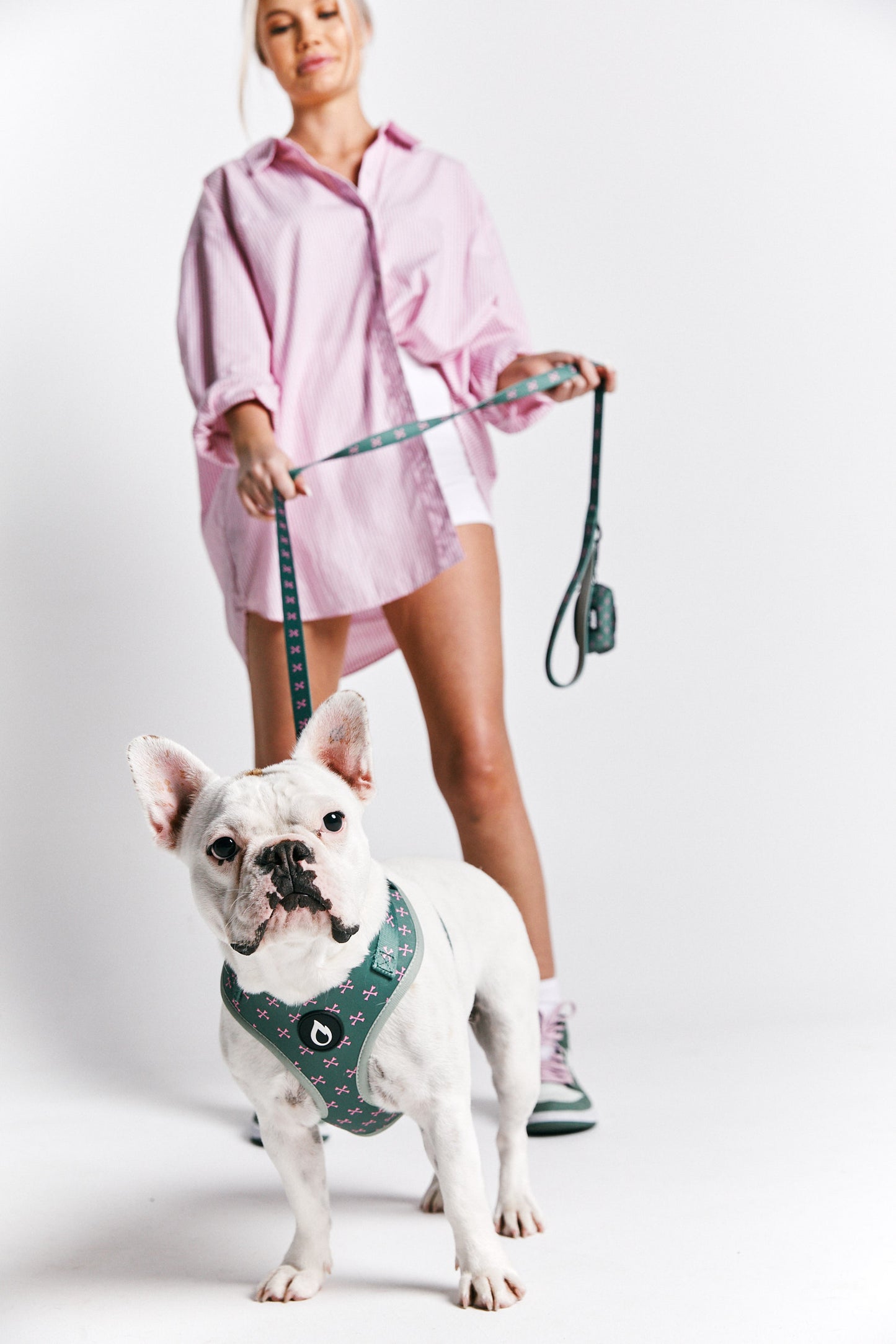 harness, collar, leash, poo bag, jon bone jovi, green, sizzzle dog accessories, adjustable, affordable, custom prints, pet supplies, fashion, designer