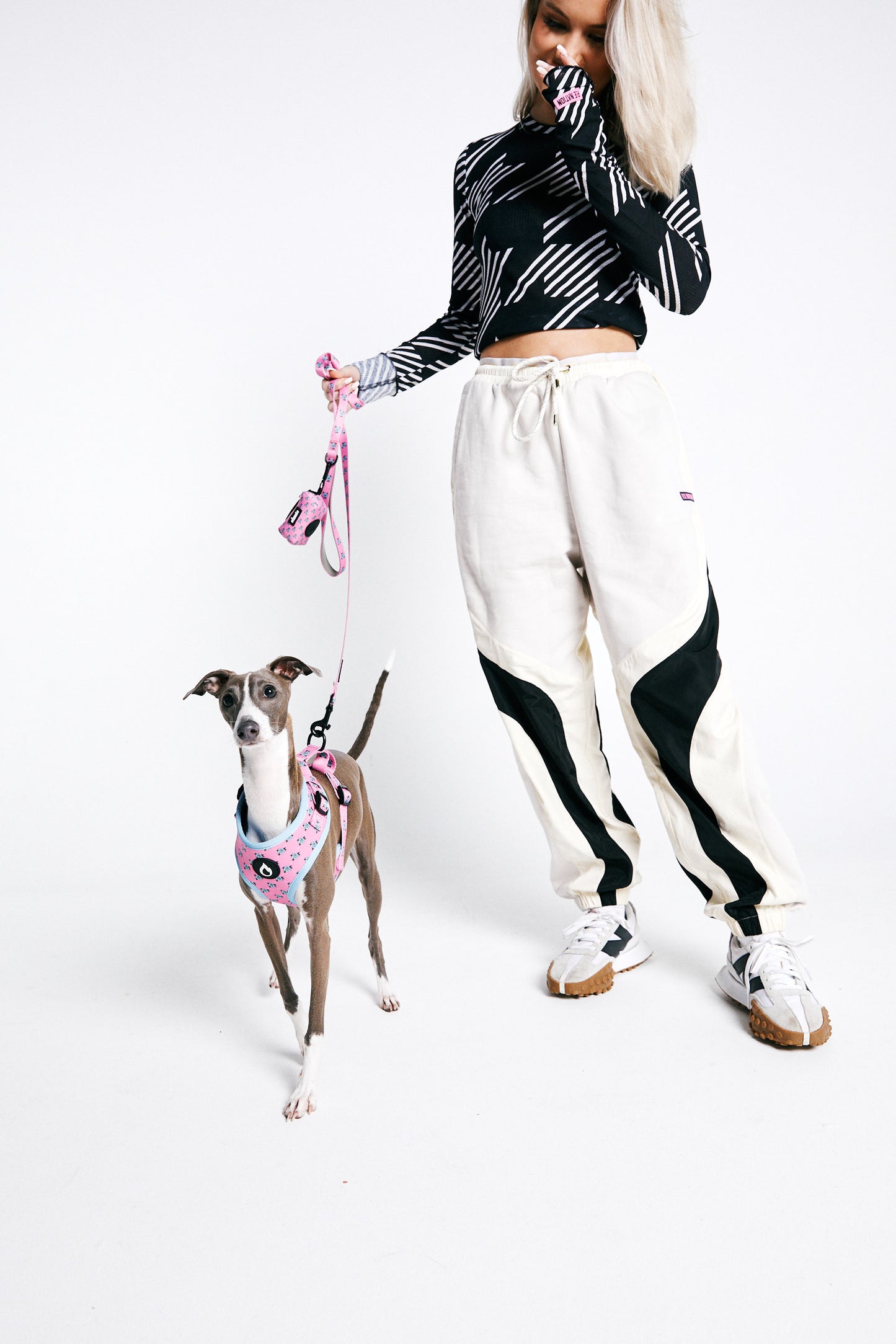 dog harness, dog collar, dog leash, dog poo bag, sarah jessica barker, australian, flowers, pink, blue, sizzzle dog accessories, adjustable, affordable, custom prints, pet supplies, designer